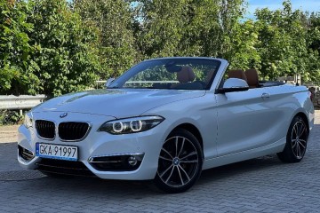 2.0 Benzyna 252 Km Xdrive Biała Perła Kamera tylko 20000